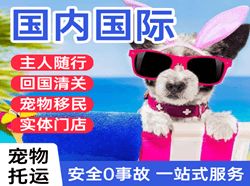 西安航空快运国际宠物托运 【国